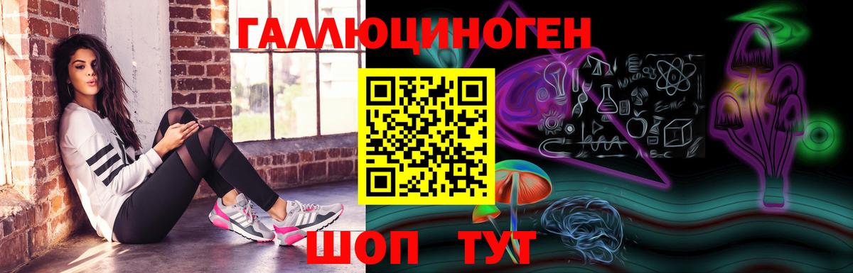 Клинцы  Галлюциногенные грибы Psilocybe  Вход с VPN 